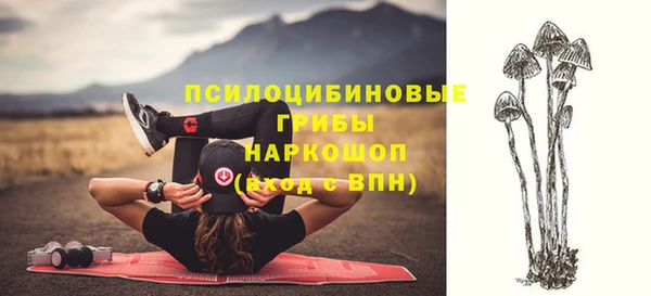 дживик Вязьма